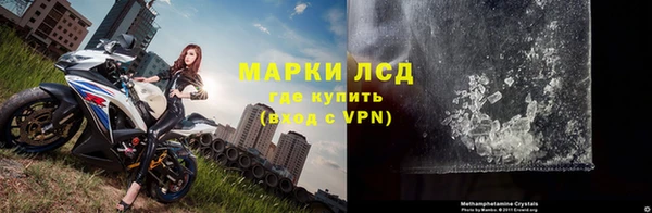 прущие грибы Белоозёрский