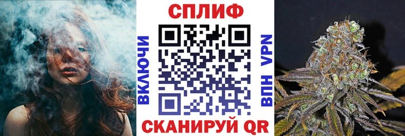 Каннабис ГИДРОПОН  Почеп 