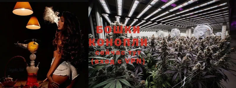 Канабис White Widow  Почеп 